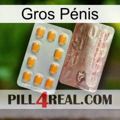 Gros Pénis new13